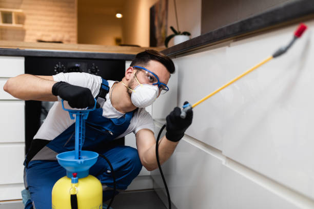 Best Pest Control Near Me  in Fetters Hot Springs Agua Liente, CA