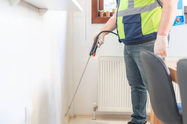 Best Affordable Pest Control Services  in Fetters Hot Springs Agua Liente, CA