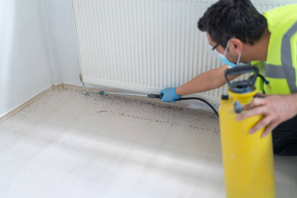 Best Affordable Pest Control Services  in Fetters Hot Springs Agua Liente, CA